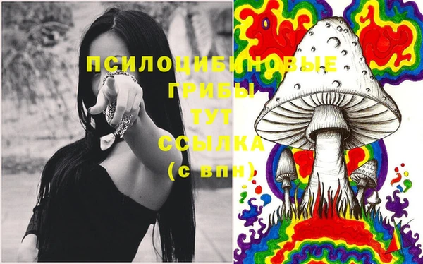 бутират Покачи
